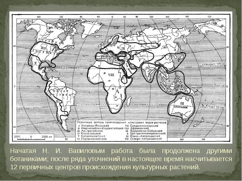 Средиземноморский центр происхождения культурных растений презентация