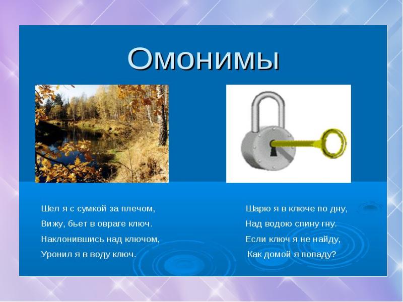 Удивительные омонимы проект