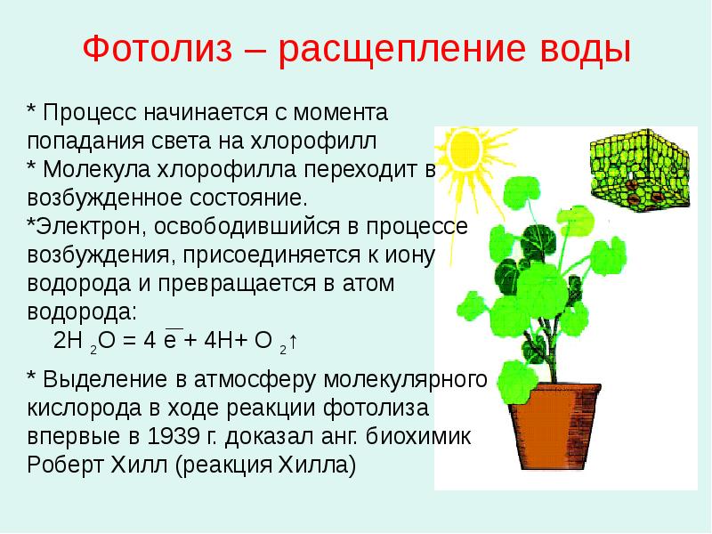 Фотолиз. Уравнение реакции фотолиза. Фотолиз воды. Фотолиз воды процесс. Фотолиз воды реакция.