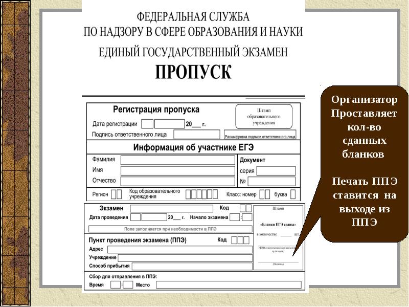 Егэ фамилия. Код ППЭ. Что такое код ППЭ В ЕГЭ. Наименование ППЭ. Пропуск на ЕГЭ.