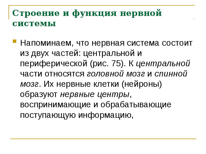 Презентация значение строение и функционирование нервной системы