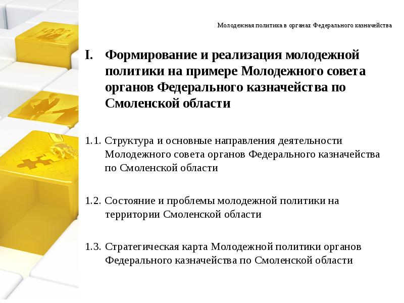 формирование и реализация молодежной политики
