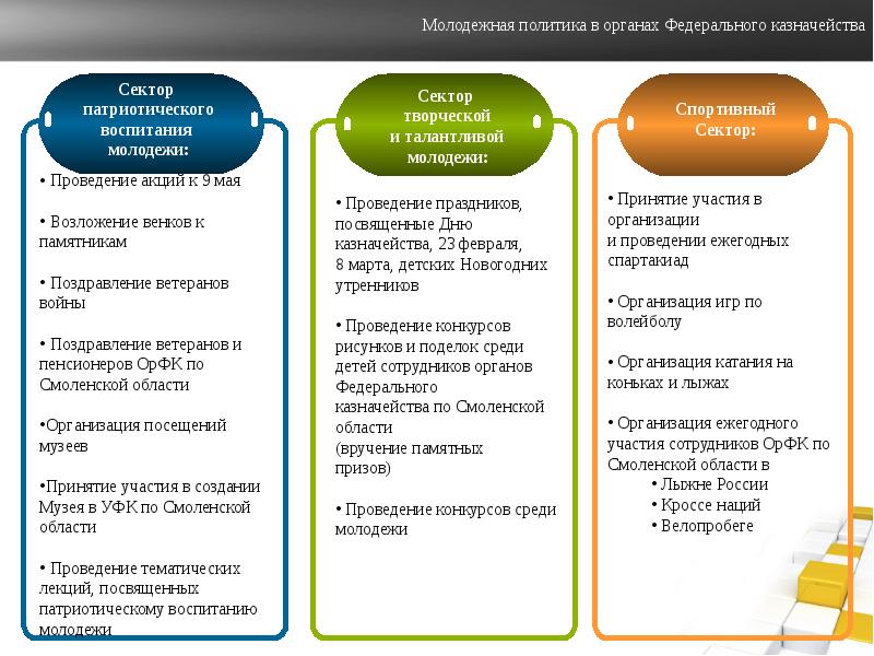 Виды молодежной политики