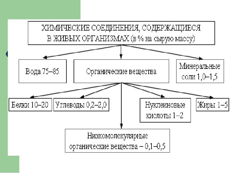 Вещества входящие в состав химического соединения. Химические соединения содержащиеся в живых организмах. Органические вещества содержащиеся в живых организмах. Вещества входящие в состав живых организмов. Схема химический соединений организма.