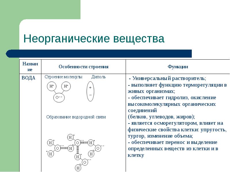 Перечислите неорганические вещества входящие в состав клетки