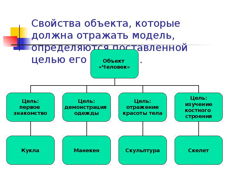 Свойства ли. Свойства объекта моделирования. Свойства объектной модели. Свойства объекта человек. Модели объекта человек.