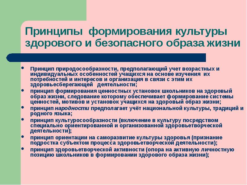 Учет потребностей. Принципы формирования здорового и безопасного образа жизни.. Принципы культуры здоровья. - Учёт потребностей и интересов обучающе. Формирование ценности здорового и безопасного образа жизни.