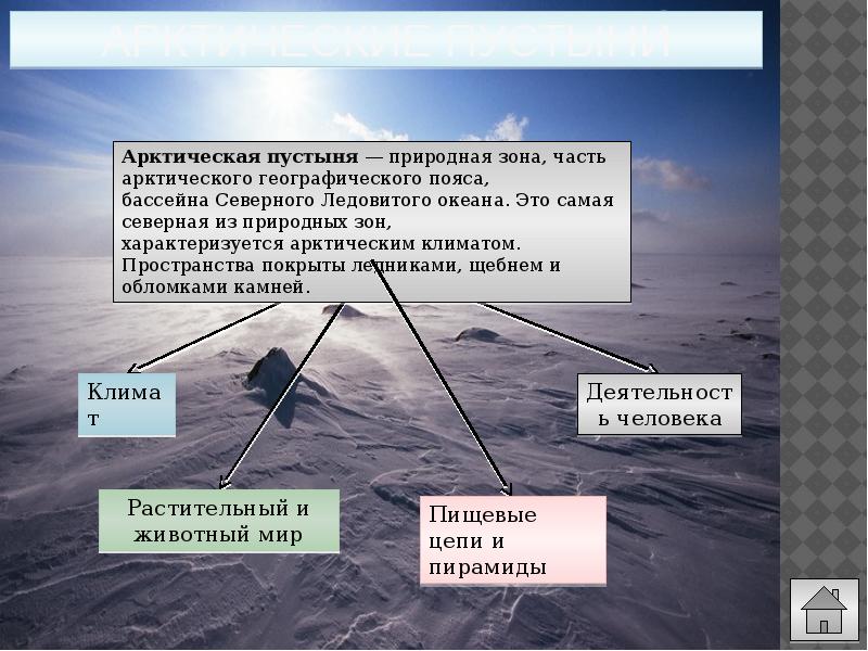 Арктические пустыни какой пояс