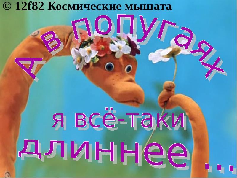 Спокойный удав. 38 попугаев измерение удава. С днём рождения удав. Спокоен как удав картинки. День удав.