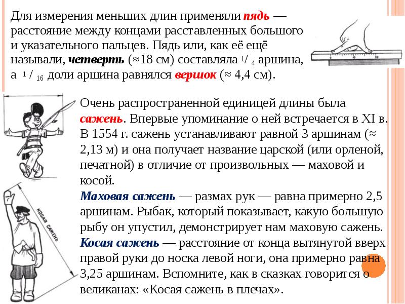 38 попугаев или как измерить свой рост проект по математике