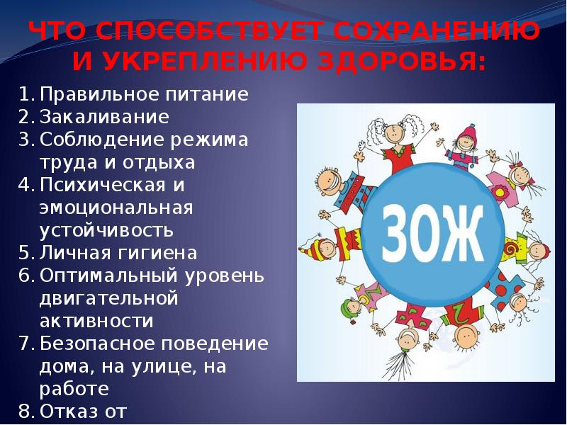 Что такое зож проект