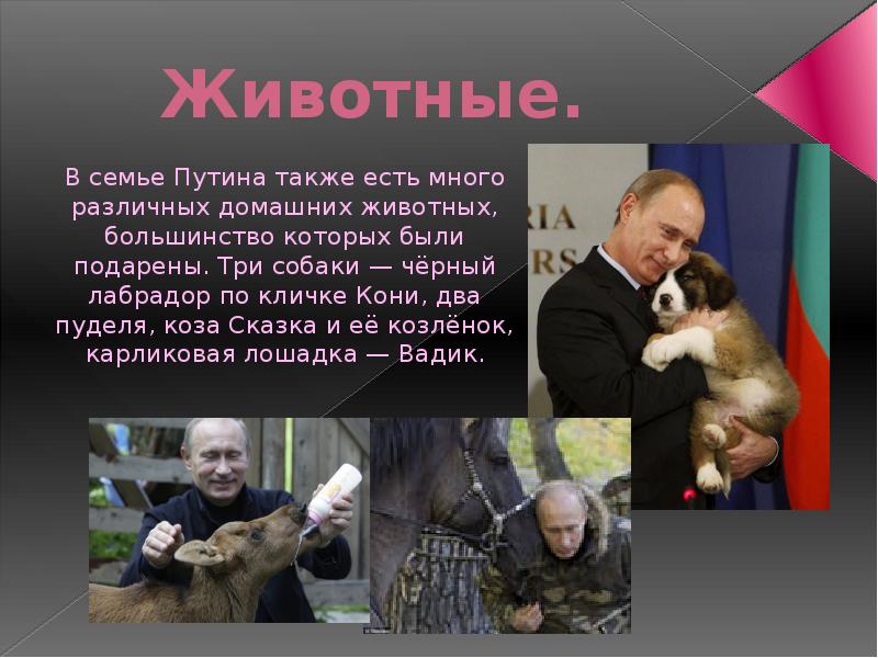 Презентация про путина