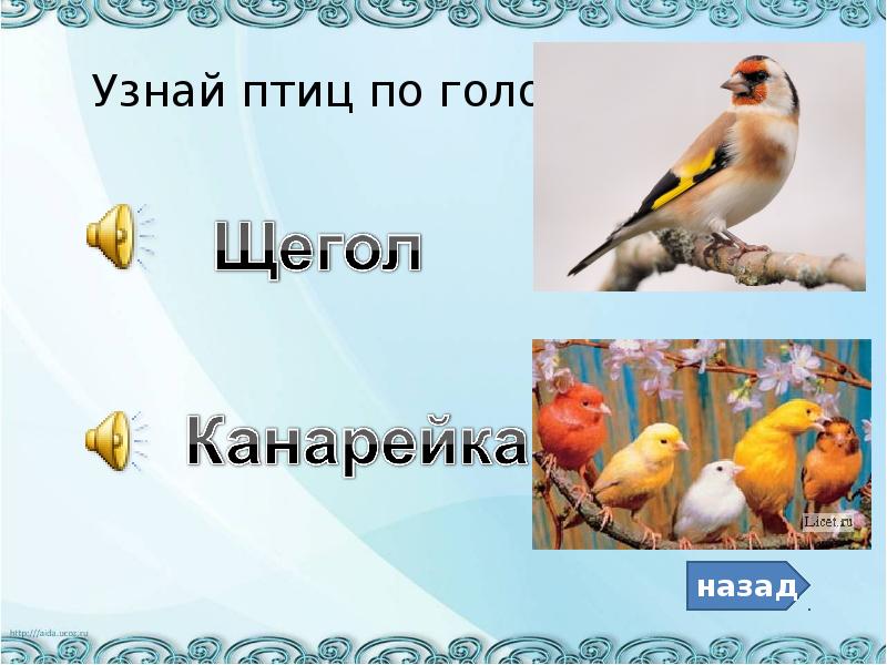 Презентация снегирев скворец 1 класс 21 век