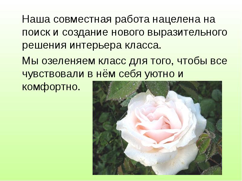 Как называют людей которые занимаются цветами. Как называют людей которые занимаются цветами