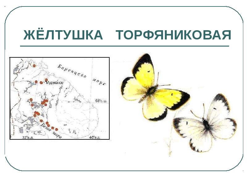 Проект красная книга мурманской области