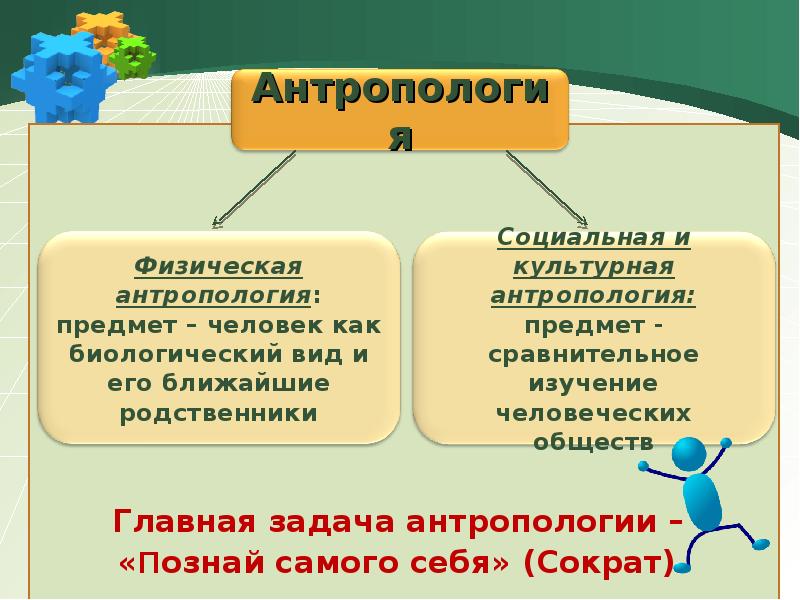 Социальная антропология это. Виды антропологии. Антропология цели и задачи. Виды и методы антропологии. Задачи и методы антропологии.