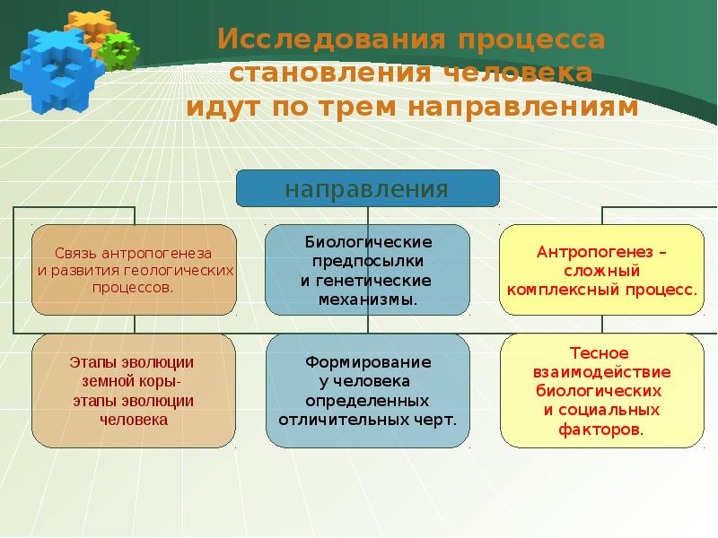 Презентация становление личности 8 класс биология