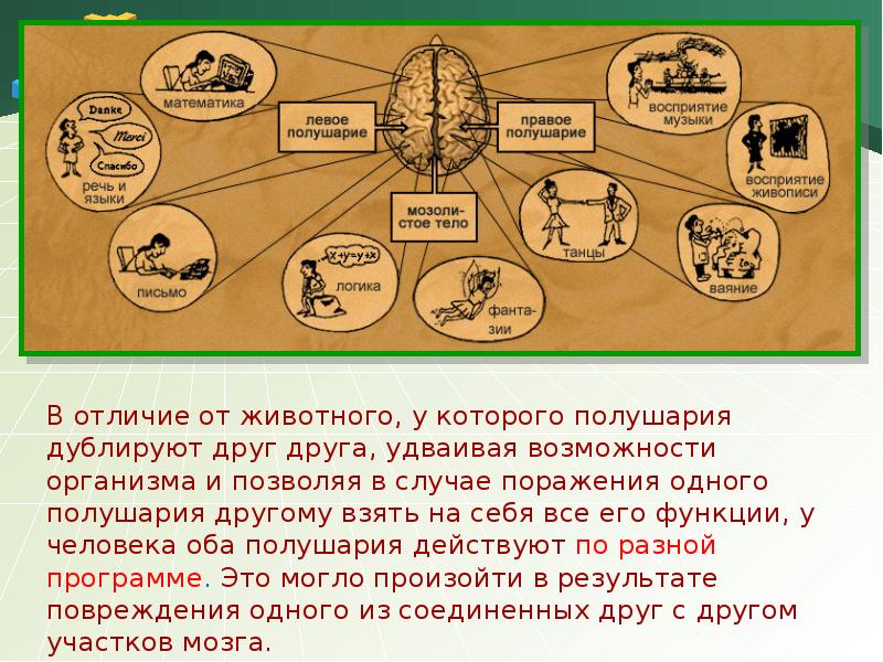 Отличие природы человека от животного. Чем человек отличается от собаки доклад. Составь рассказ чем человек отличается от животного. Термин, позволяющий отличить человека от животных. Прародина человечества гипотеза моногенизма антропо и социогенез.