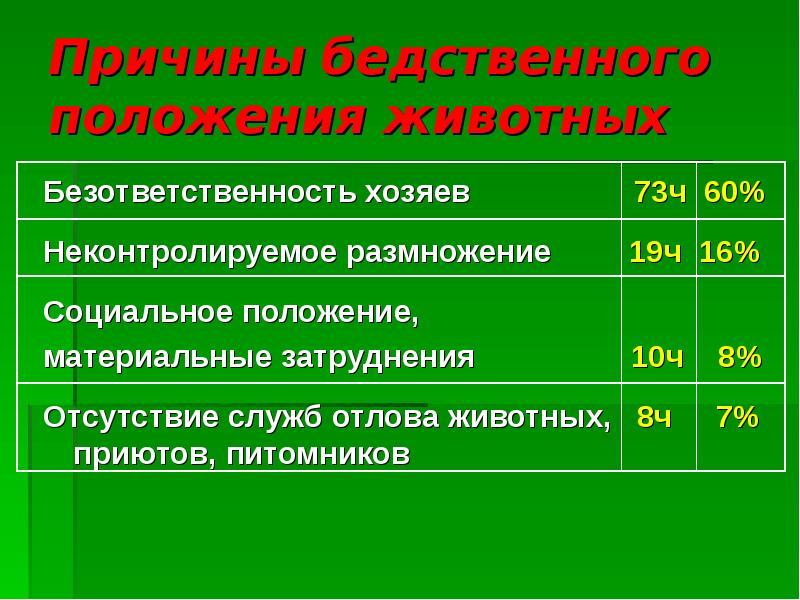 Бедственное положение. Причины безответственности. Причины безответственности родителей. Описать безответственность владельцев животных. Безответственность это 9.3.