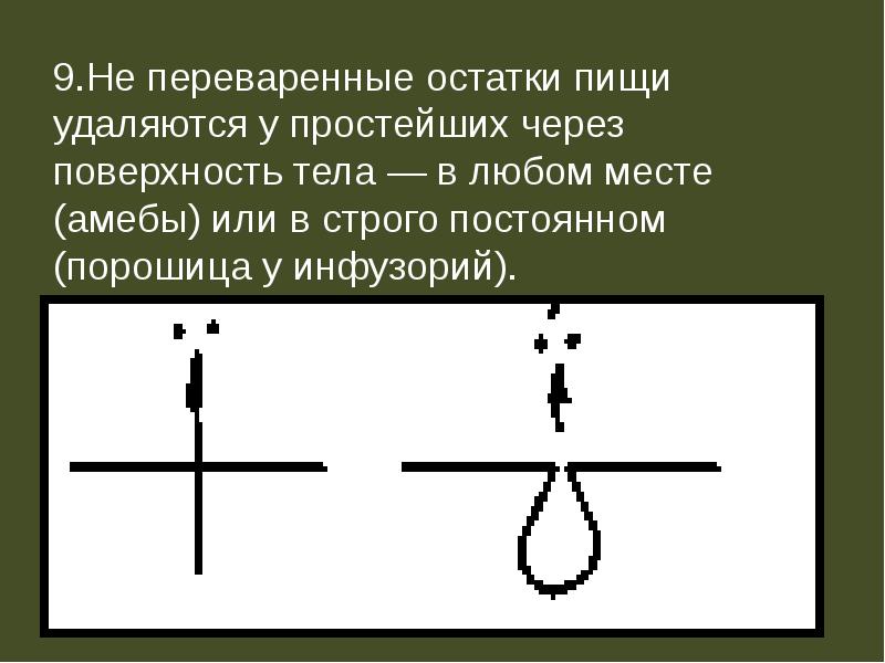 У гидры непереваренные остатки пищи удаляются через. Остатки пищи удаляются через. Переваренные остатки пищи удаляются из. Непрерывные остатки пищи к омеб удаляются из организма через. Через чтоудаются остатки пищи.