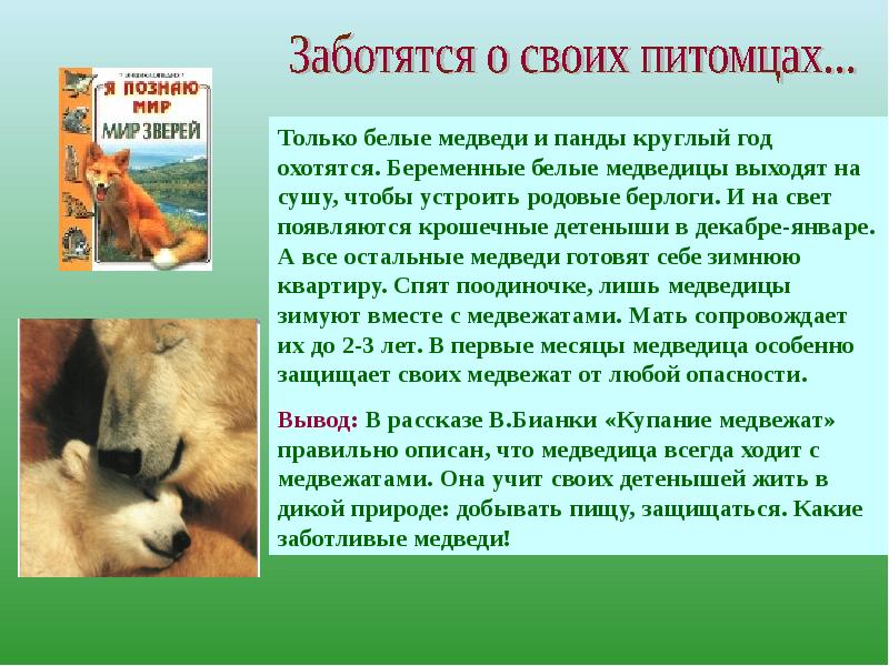 Животные воспитывают не своих детенышей придумать рассказ. Рассказ о детенышах животных. Истории о воспитании животными чужих детенышей. Что воспитывают рассказы о животных. Приемные животные рассказ.