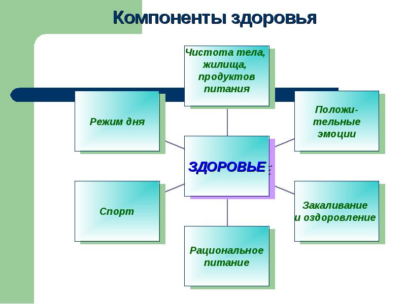 Картинки компоненты здоровья