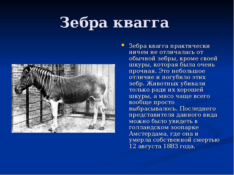 Презентация на тему вымершие животные