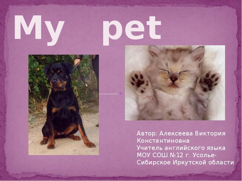 Проект my pet 3 класс