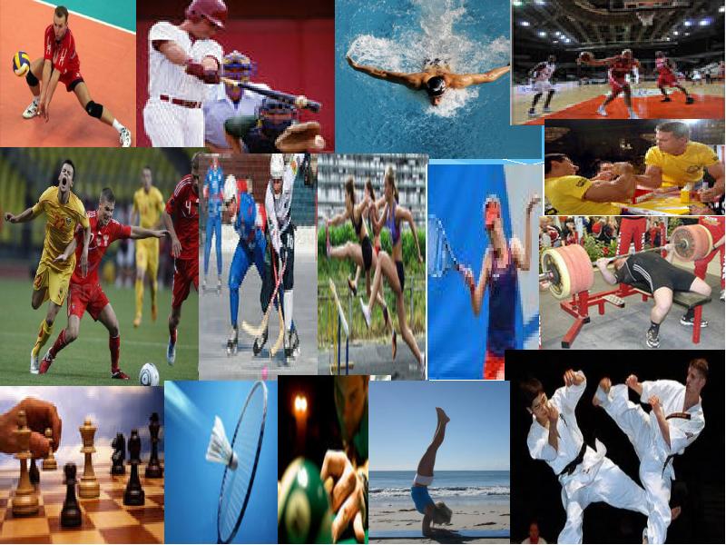 Спортивная лексика. Разновидности современного спорта. Термины на спортивную тему. Спорт это термин.