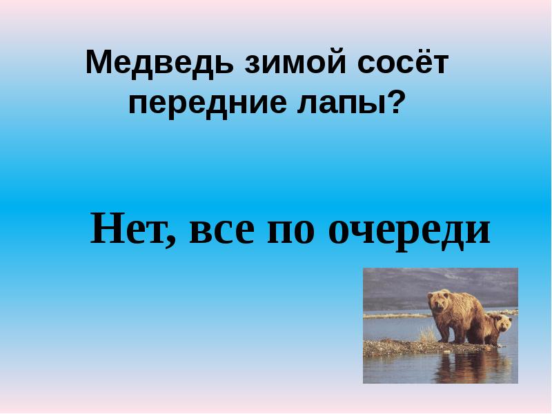 Медведь зимой сосёт передние лапы?
Нет, все по очереди Медведь зимой сосёт передние лапы?
Нет, все по очереди