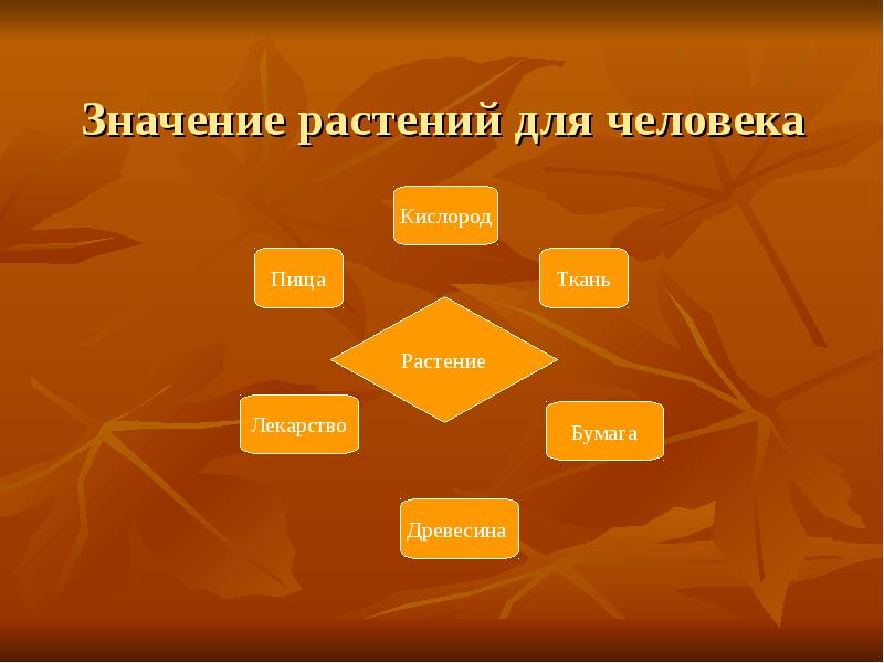 Значение жизни человека 5 класс. Значение растений для человека. Значимые растения для человека. Значение растительности для человека. Значение растений для человека схема.