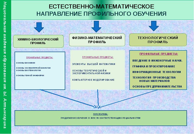 Направления математики