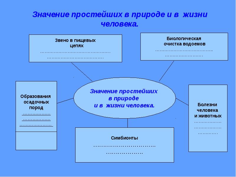 Значение простейших