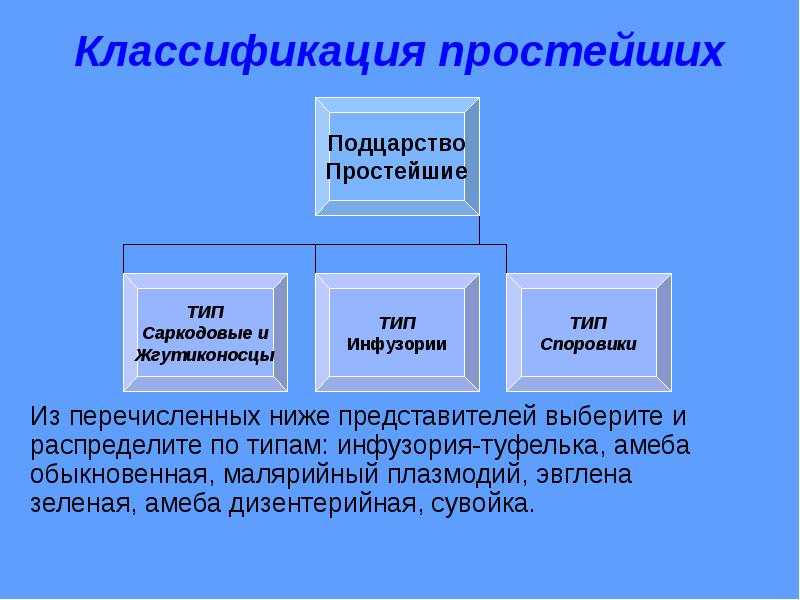 Простейшие классификация