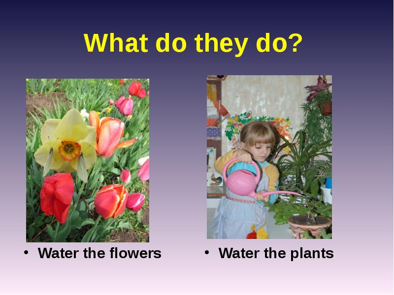 The flowers to water every day