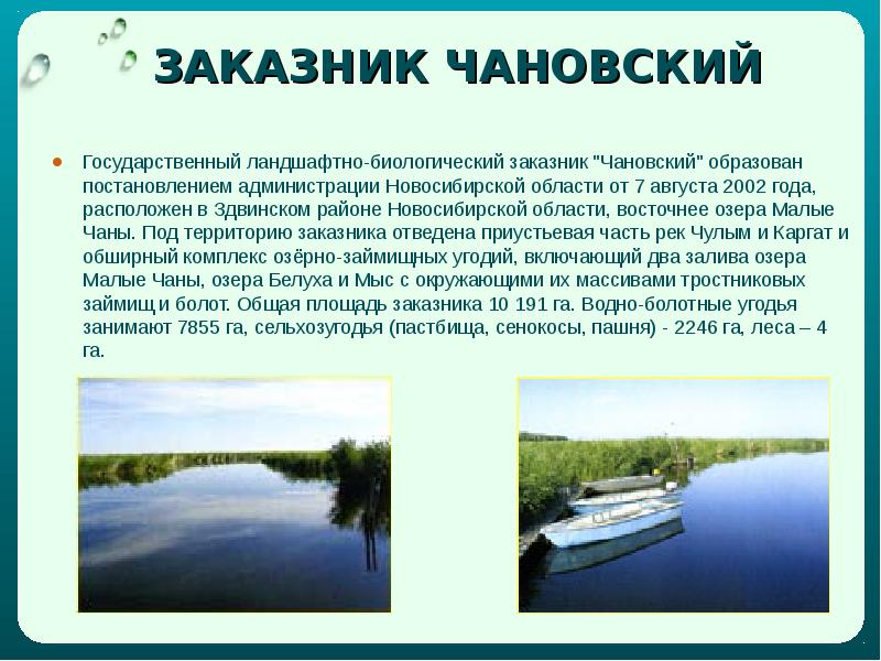 Водные богатства ленинградской области презентация