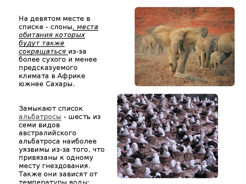 Что в этом месте обитает