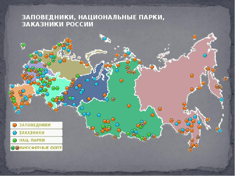 Перечислите заповедники. Карта заповедников и нац парков России. Заповедники и национальные парки карта. Крупнейшие заповедники России. Национальные парки России на карте.