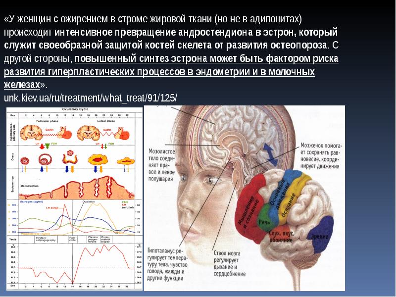 Удовлетворение чувства голода и жажды