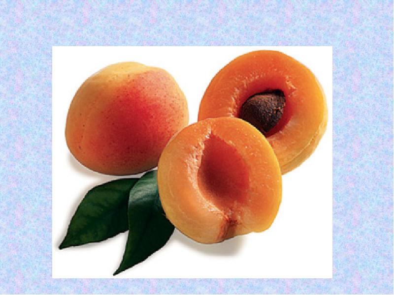 Фрукт 2 класс. Красный абрикос. Название плода абрикоса. Искусственный абрикос. Абрикос круглый.