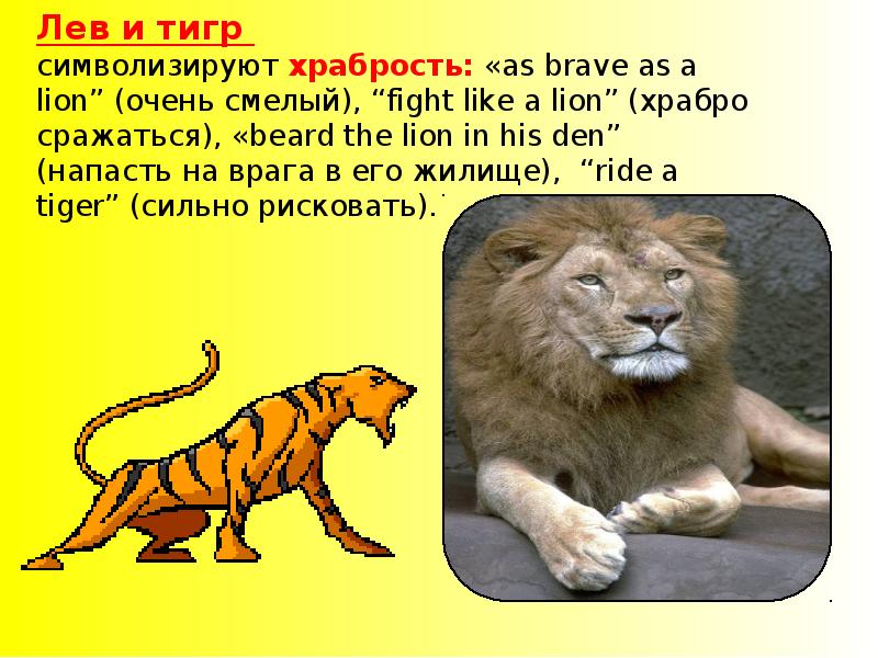 Линия слов лев. Фразеологизмы про Льва. Че за Лев этот тигр. Фразеологизмы про тигра.