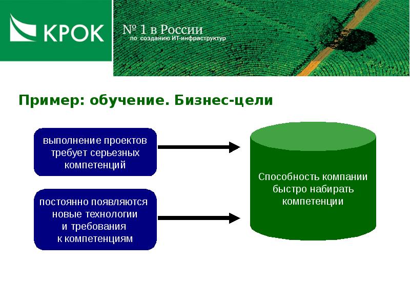 Направление образования примеры