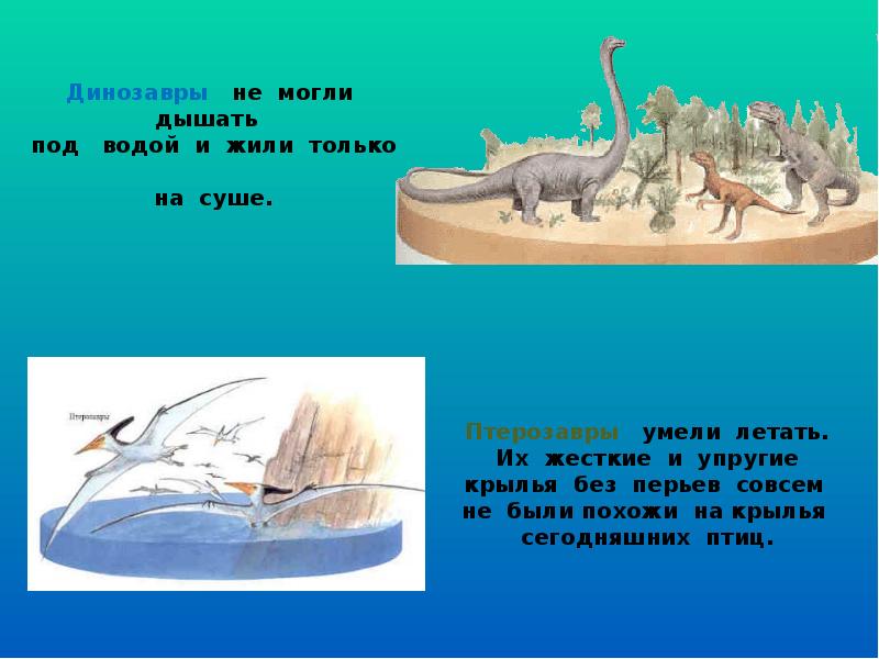 Динозавр жил в воде. Динозавры живущие в воде. Динозавры под водой. Динозавры которые жили в воде. Динозавры которые жили на суше.