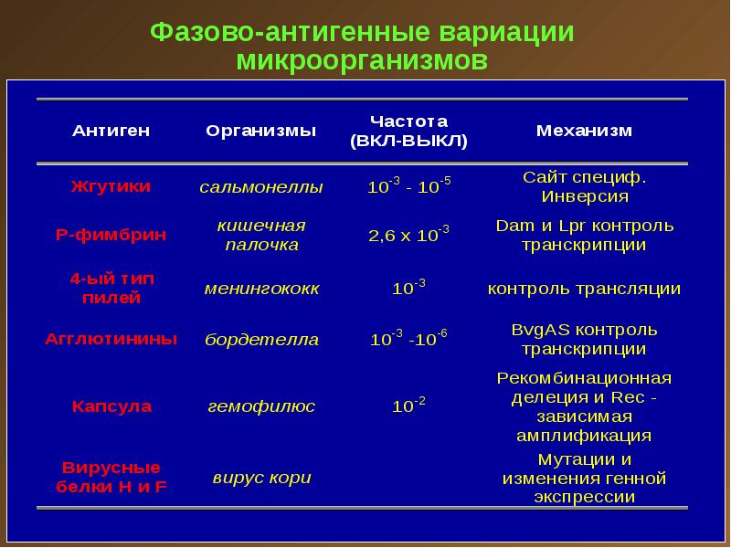 Инфекционный процесс презентация