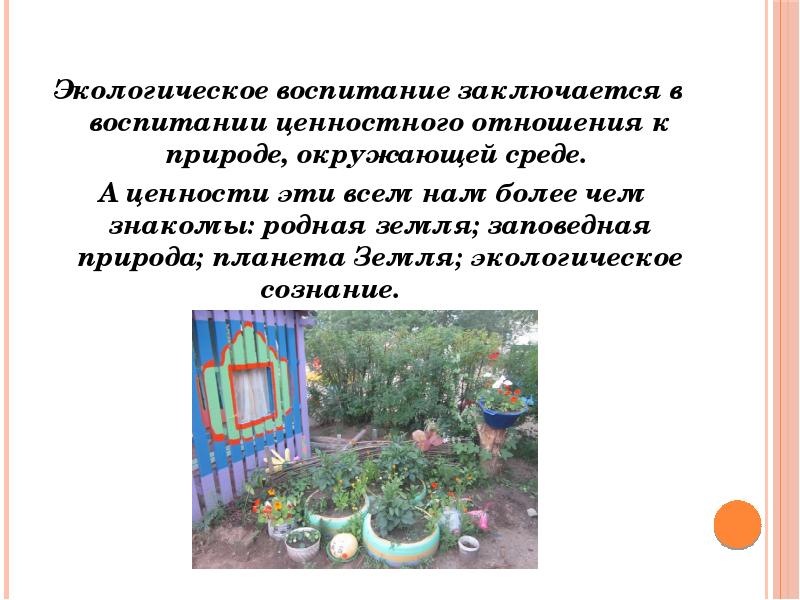 Ценностное отношение к природе