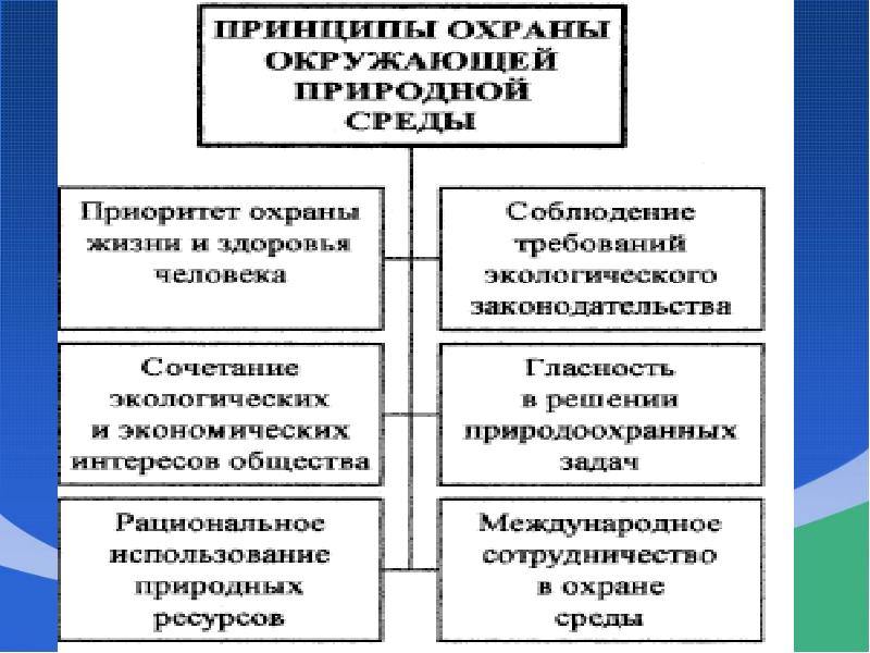 Основные принципы охраны окружающей среды презентация