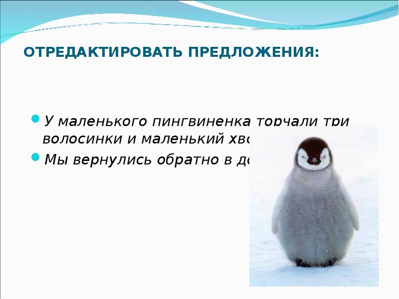 Отважный пингвиненок. Изложение про пингвиненка. Презентация отважный Пингвиненок. Подробное изложение маленький Пингвинёнок. Сочинение про пингвиненка.