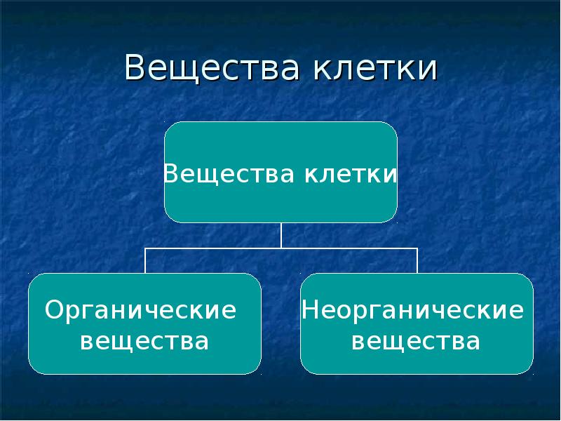 Органические и неорганические вещества клетки