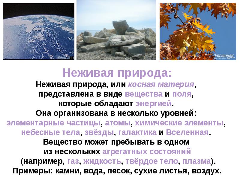 Каковы основные значения понятия природа 8 класс. Каковы основные значения понятия природа 8 класс