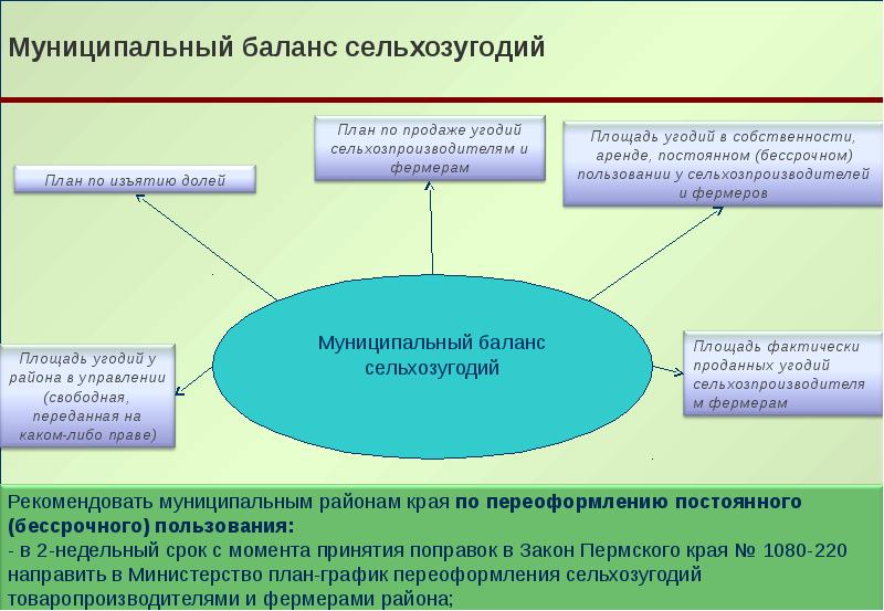 Проект по муниципальному праву